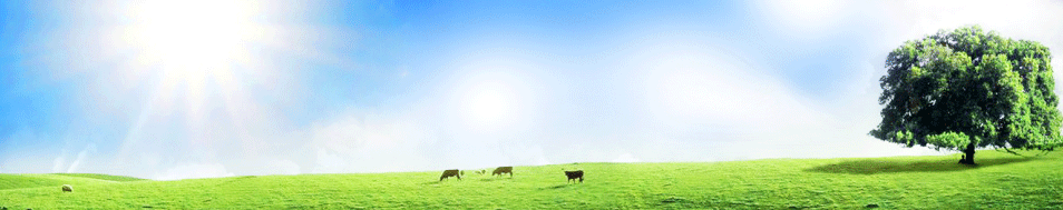 ������ĸ����Ʒ���޹�˾