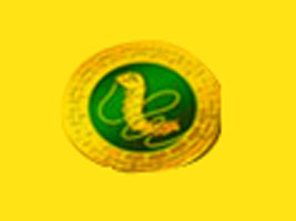 �����Q���Ƽ����I(y��)���޹�˾