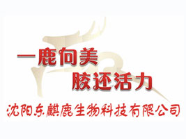 ���(y��ng)�|��¹����Ƽ����޹�˾