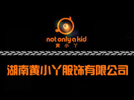 �����SСѾ������޹�˾