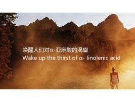 ����Ʒ����Ƽ����޹�˾