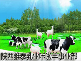 �����̩��I(y��)�������I(y��)��