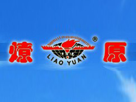 ��ԭ��I(y��)����؟(z��)�ι�˾