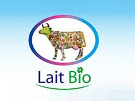 ��������ħ��a(ch��n)�I(y��)�l(f��)չ���޹�˾