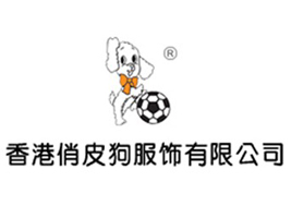 �����Ƥ��������޹�˾