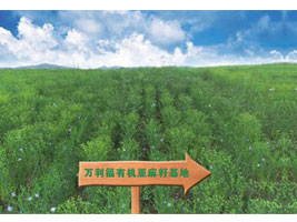 ���ɹ��f��������Ƽ����޹�˾