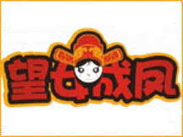 ��۶���Ͷ�Y���޹�˾