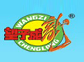 �V�����������l(f��)չ���޹�˾