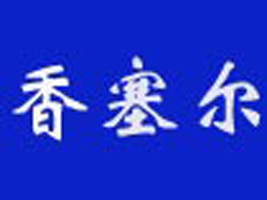 �麣��������������޹�˾