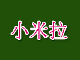 ���uС����������޹�˾