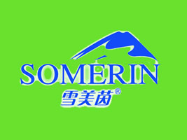 �V�݌�������Ƽ����޹�˾