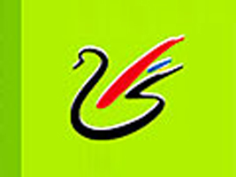 ˇ�އ�(gu��)�H����ۣ��ɷ����޹�˾