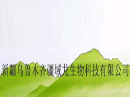 �½�����ľ�R����������Ƽ����޹�˾