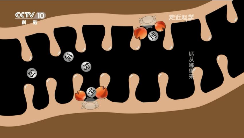 ���w�����}��ԭ��