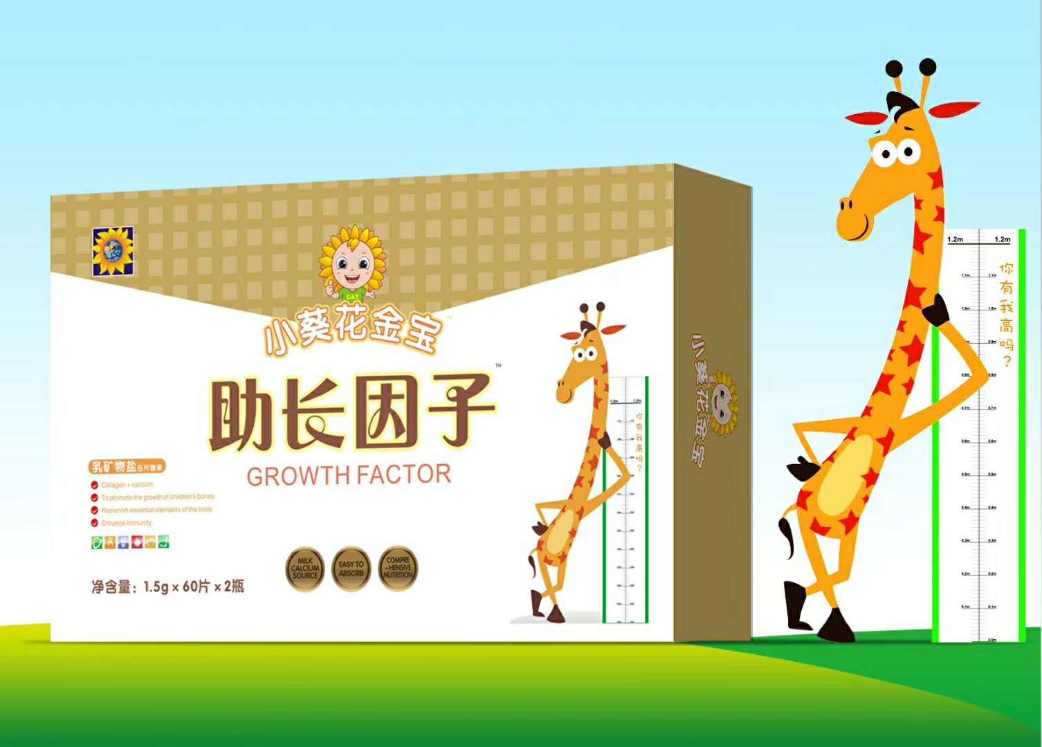 С�����������L���Ӿ׽�Ƭ