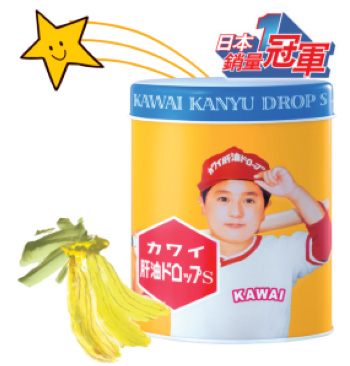 ӭ�´���ے�؛��������KAWAI���������܋������gӭ