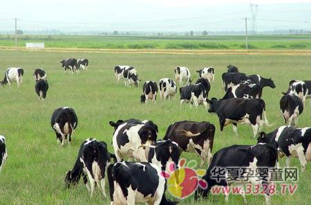 ؐ��������45�Ȏ��Gɫ��Դ����(y��ng)�