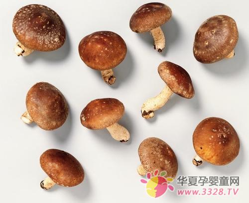 ���⡰�����ǡ�