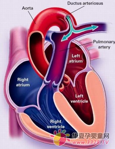 ���}��(d��o)��δ�]