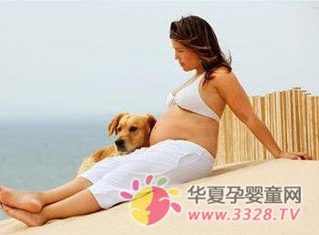 �Ћ�����