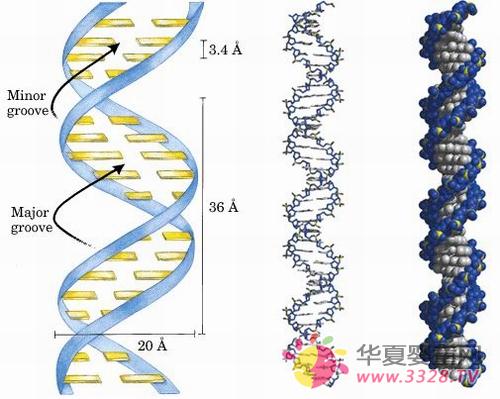 С���Ǻ���