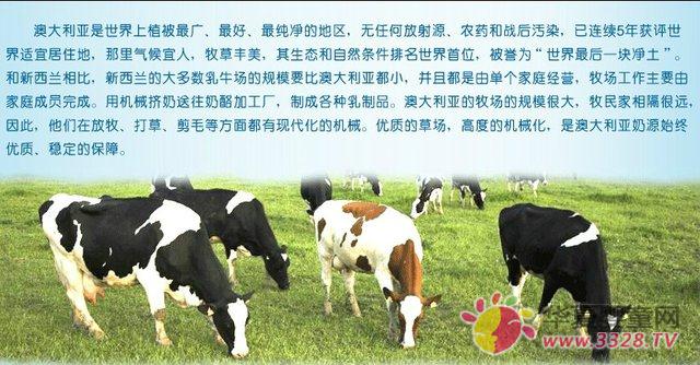 澳洲原裝進(jìn)口嬰幼兒配方奶粉1-3段 澳洲原裝進(jìn)口嬰幼兒配方奶粉1-3段