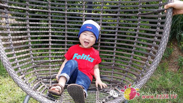 �n��С����̫�����ȡ�����һ����ܰ���&�۵����{ɫ����һ�ӵľ���