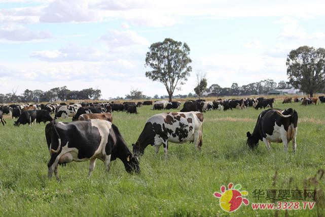 ���׃��䷽���