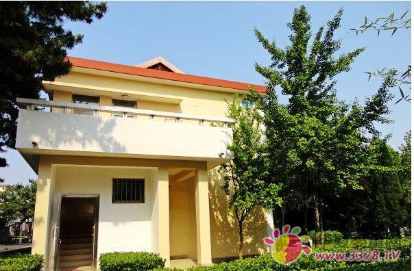 ���u�A���V����������