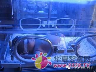 ���t(y��)�������t(y��)������