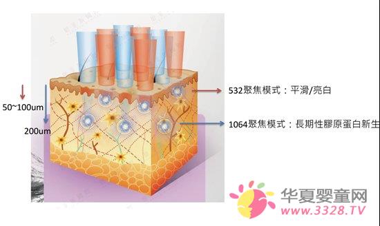 �����������Picoway