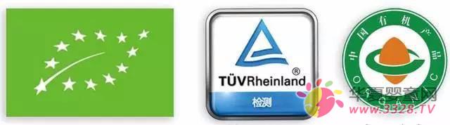 �Wؐ���̷�