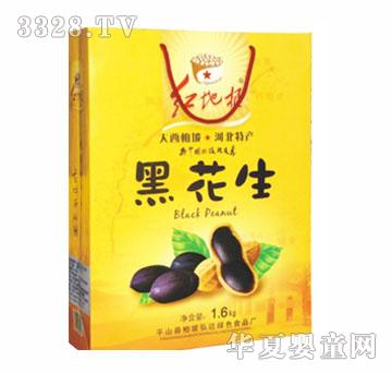 �t�ظ��ڻ��������