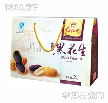 �t�ظ��濾�ڻ���