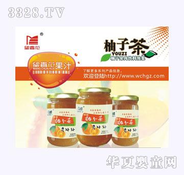 ���������ӹ�����u