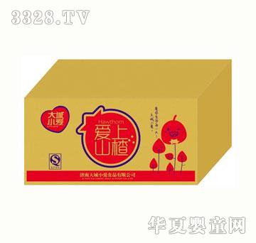 ���С�ې���ɽ�