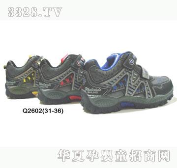 �H�H����ЬQ2602