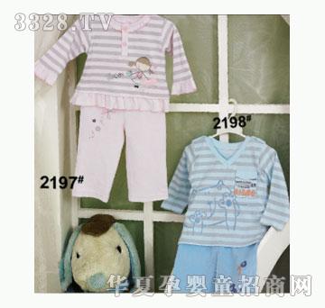 ��ʹ����2197�����