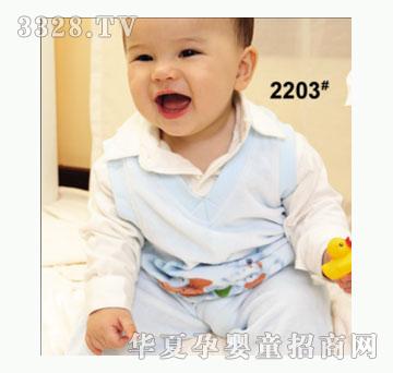 ��ʹ����2203�����