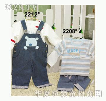 ��ʹ����2212�����