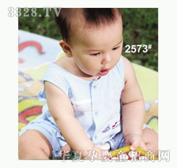 ��ʹ����2573�����