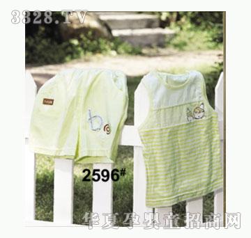 ��ʹ����2596�����