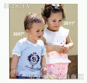 ��ʹ����2607�����