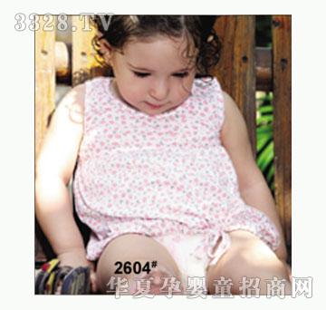 ��ʹ����2604�����