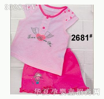 ��ʹ����2681�����