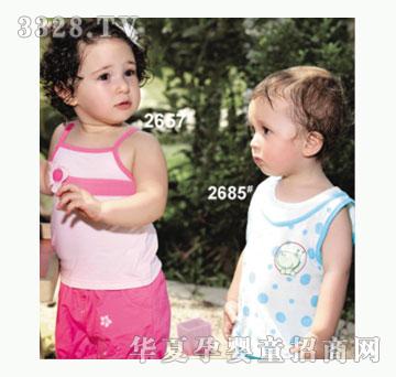 ��ʹ����2685�����