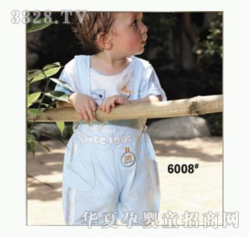 ��ʹ����6008