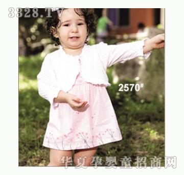 ��ʹ����2570�����