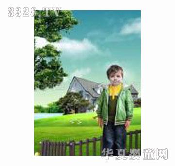 ��ͽ��HOUSEH����ɫ����