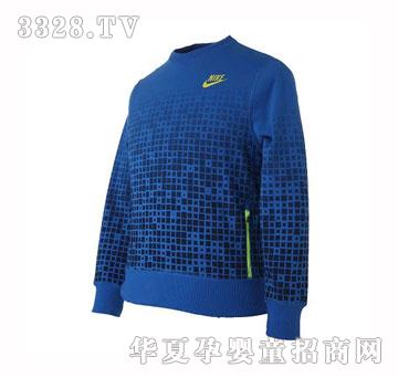 �Ϳ�2013�����д�ͯᘿ����^��522415-472